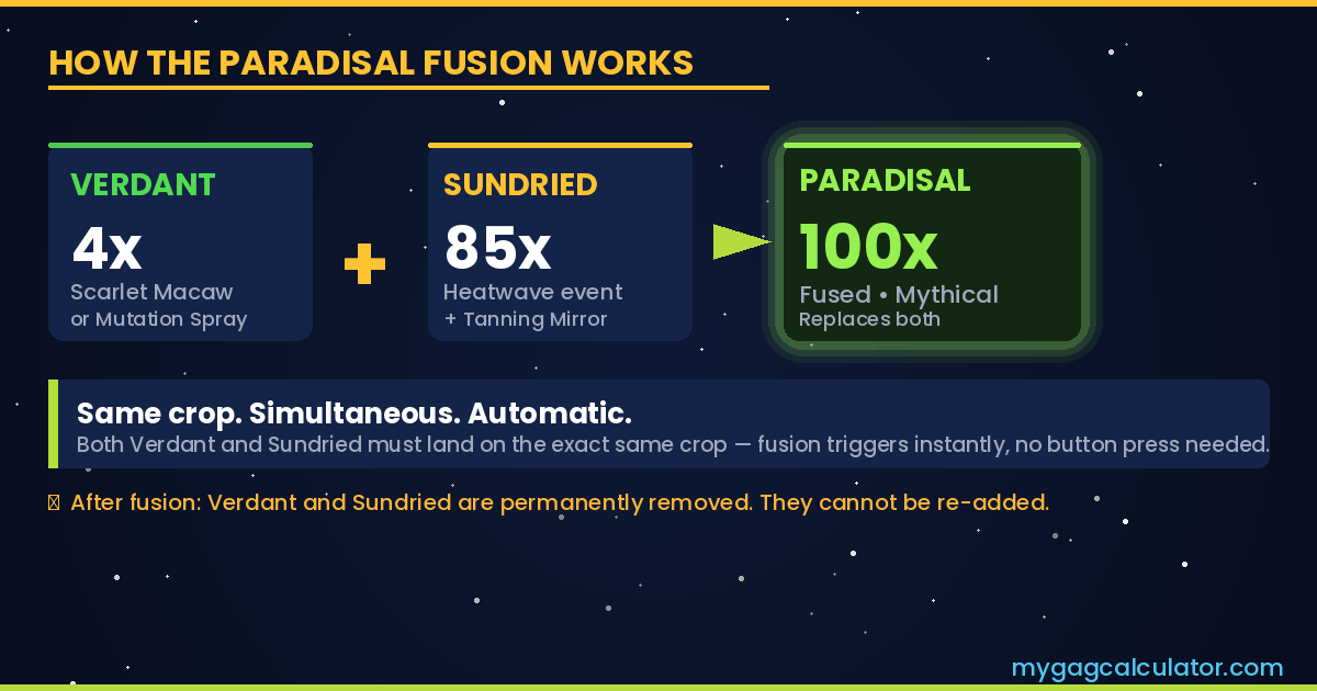 How the Paradisal Mutation fusion works in Grow a Garden