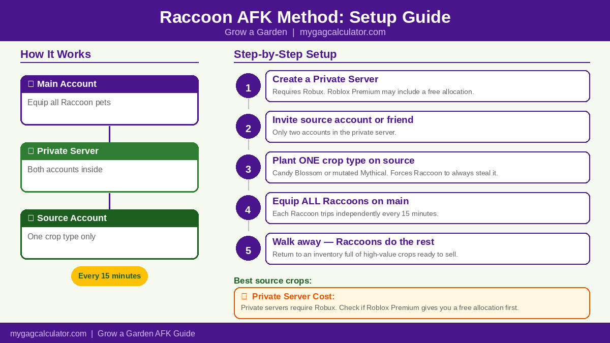 Raccoon AFK method setup diagram for Grow a Garden
