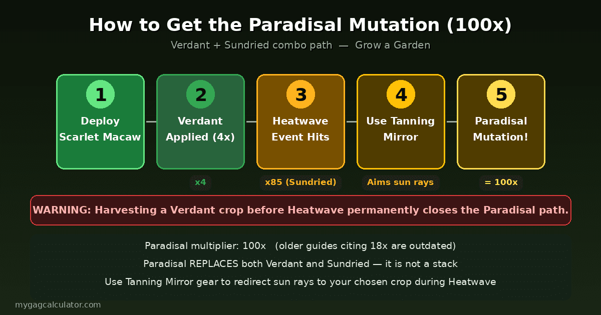 Step by step infographic showing how to trigger the Paradisal mutation in Grow a Garden
