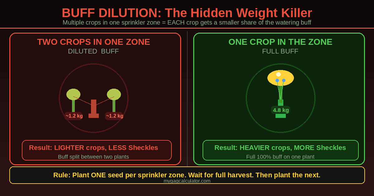 Grow a Garden buff dilution explainer comparing two crops sharing one sprinkler zone getting 1.2kg each versus one crop in the zone getting 4.8kg