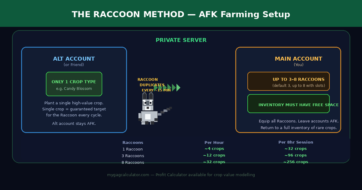 Grow a Garden Raccoon Method setup diagram — private server with main account and alt account showing AFK crop duplication workflow