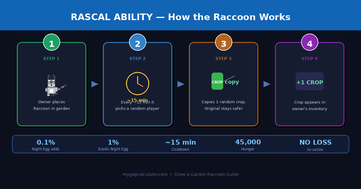 Grow a Garden Raccoon Rascal ability explained — 4-step crop duplication infographic showing 15-minute cooldown cycle