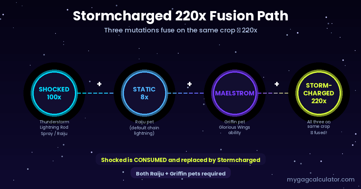 Stormcharged 220x fusion path diagram — Shocked plus Static plus Maelstrom on the same crop in Grow a Garden