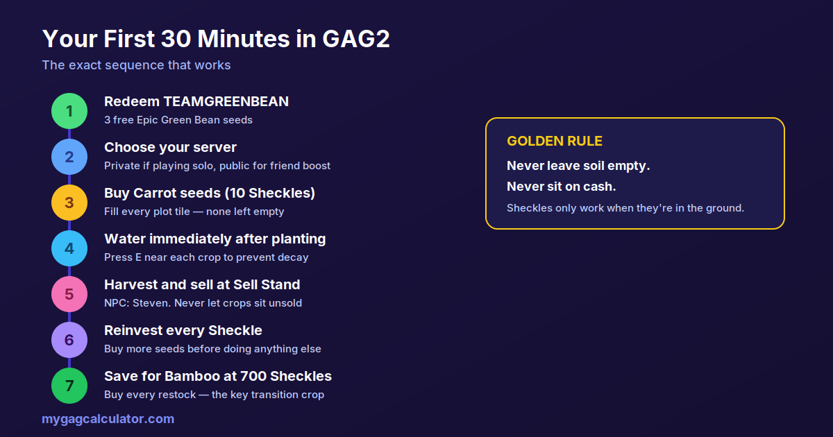 Step-by-step infographic of the first 30 minutes in Grow a Garden 2