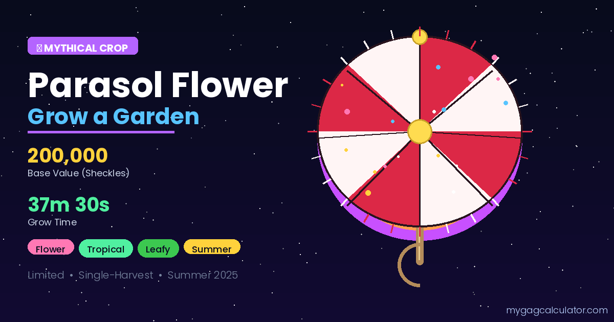 Parasol Flower Grow a Garden
