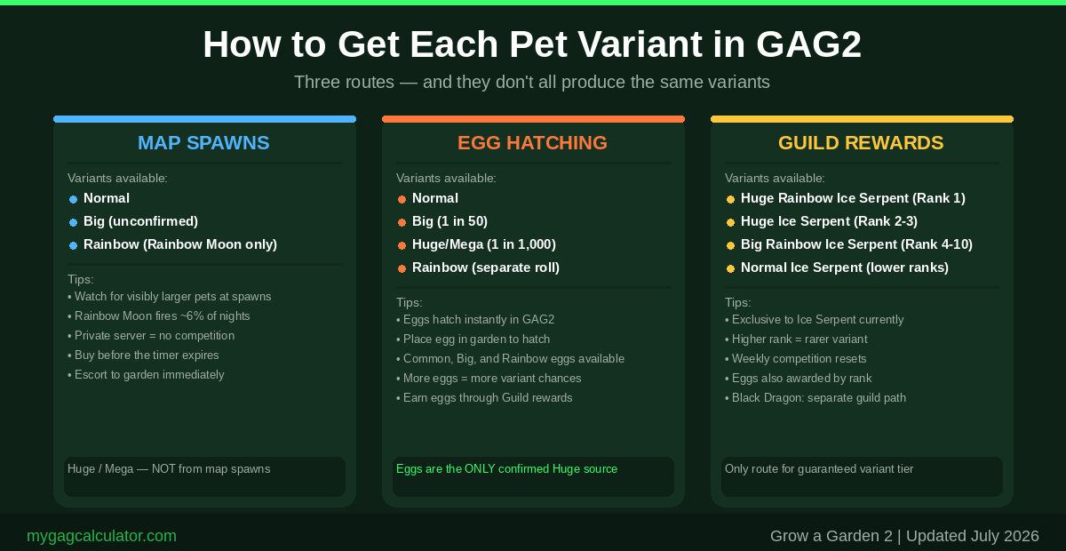 Three routes to get GAG2 pet variants showing map spawns egg hatching and Guild rewards with tips for each method