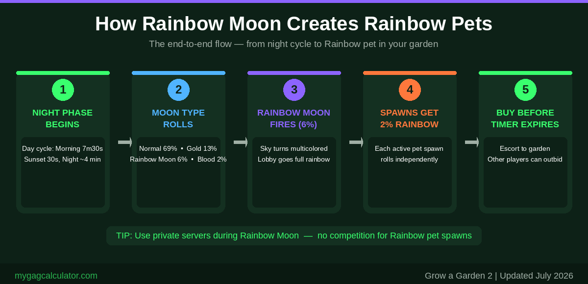 Grow a Garden 2 Rainbow Moon pet pipeline flowchart showing how night cycle leads to Rainbow pet spawns in five steps