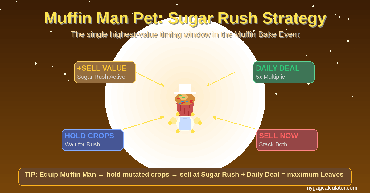 GAG2 Muffin Man pet Sugar Rush strategy guide