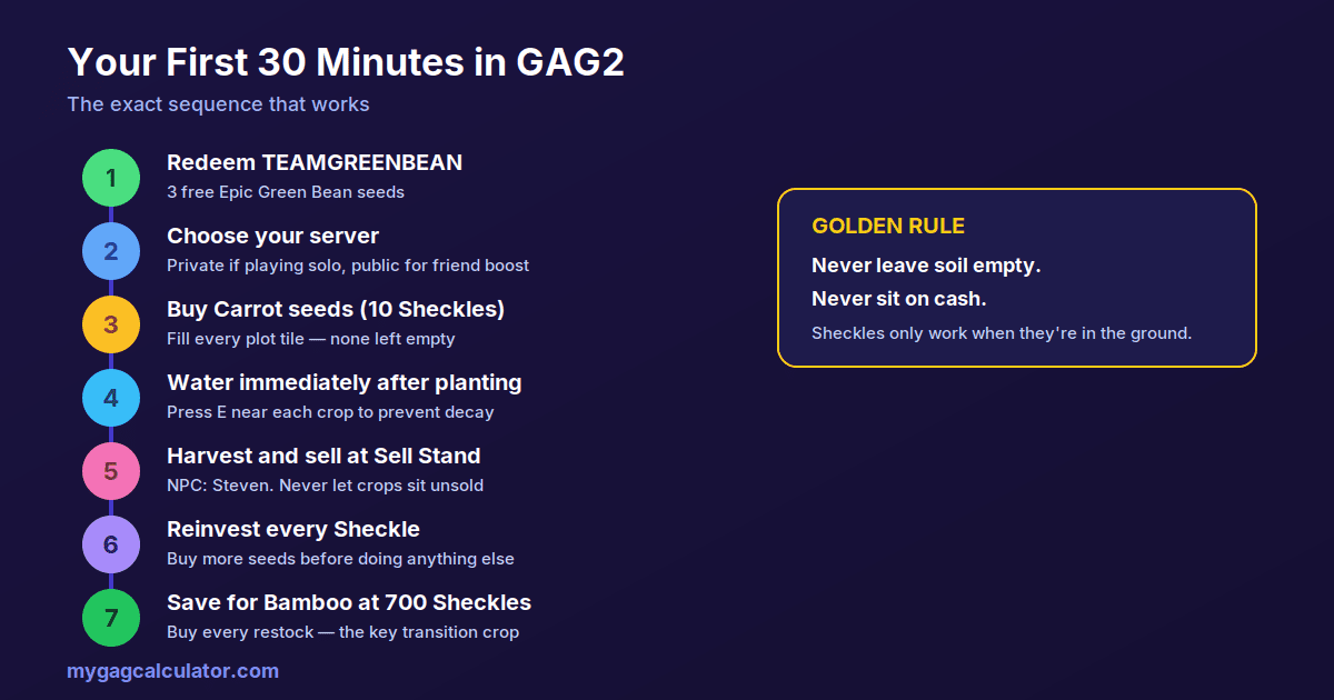 Step-by-step infographic of the first 30 minutes in Grow a Garden 2